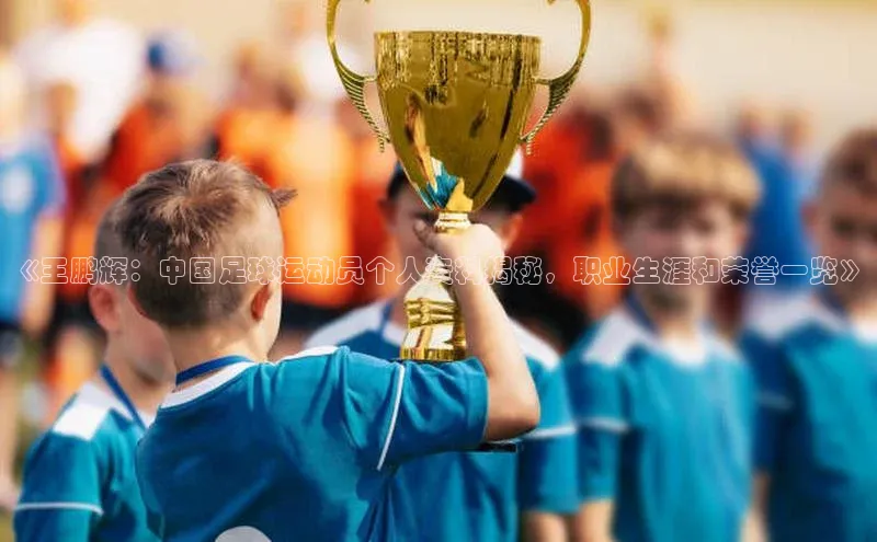 vsport体育官网华扬联众《王鹏辉：中国足球运动员个人资料揭秘，职业生涯和荣誉一览》