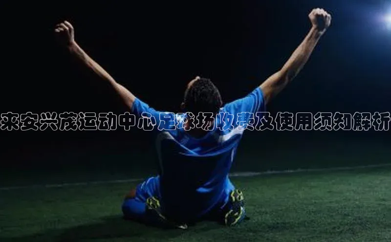 Vsport体育APP下载百度游戏来安兴茂运动中心足球场收费及使用须知解析