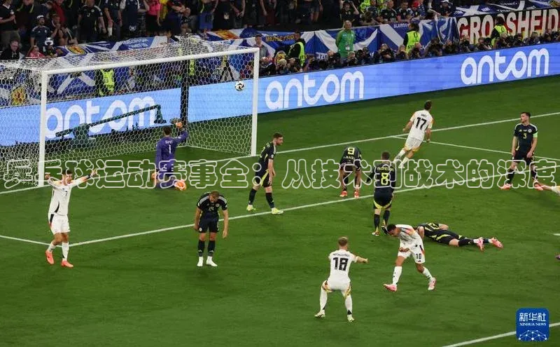 乒乓球运动赛事全：从技术到战术的深度