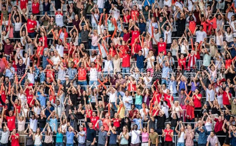 赛场风云：2023年度重要运动赛事回顾与分析