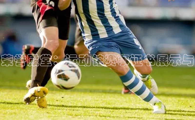 荣誉殿堂：运动馆赛事证书展示与
