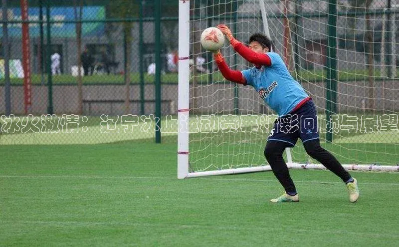 冰火激情：辽宁冰上运动赛事精彩回顾与展望