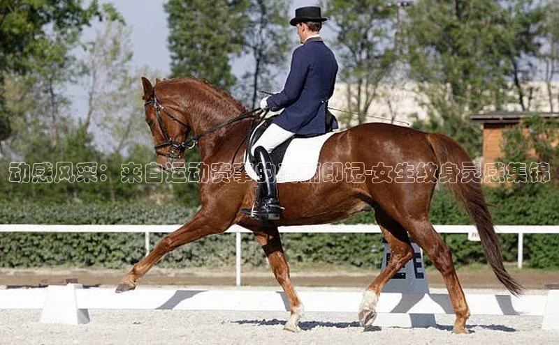 动感风采：来自运动赛事的美丽印记-女生纹身灵感集锦