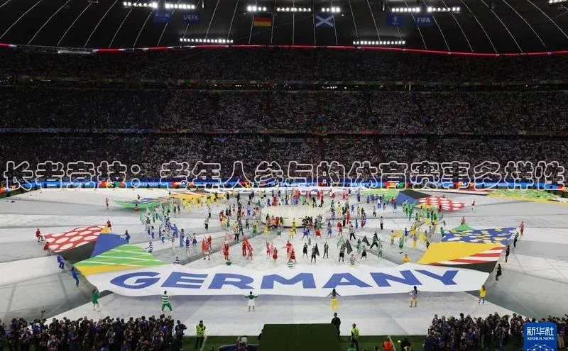 长者竞技：老年人参与的体育赛事多样性