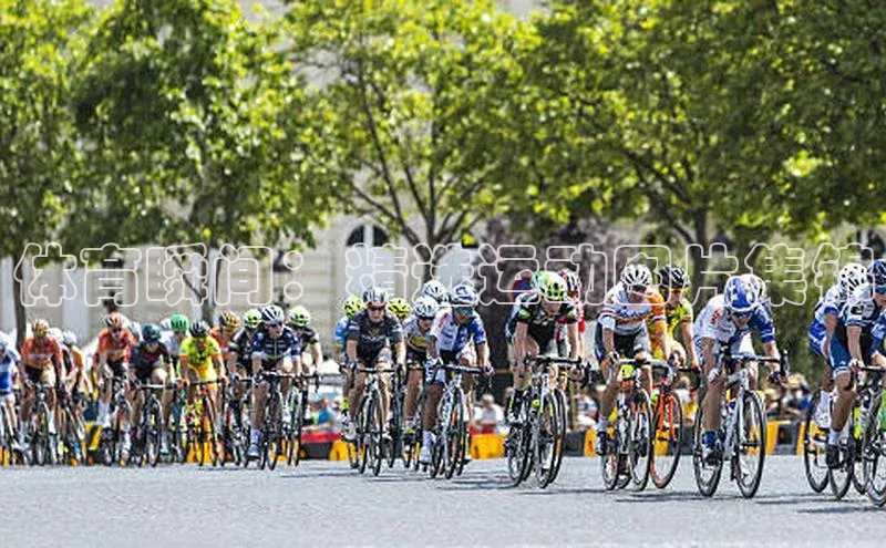 体育瞬间：精选运动图片集锦