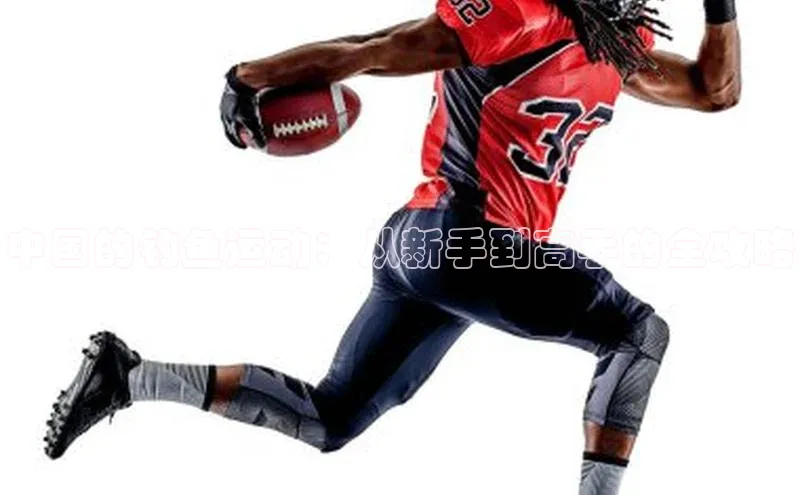 中国的钓鱼运动：从新手到高手的全攻略