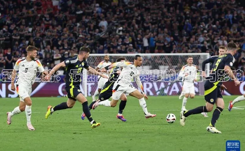 冠军之路：最热门运动赛事的命名与影响