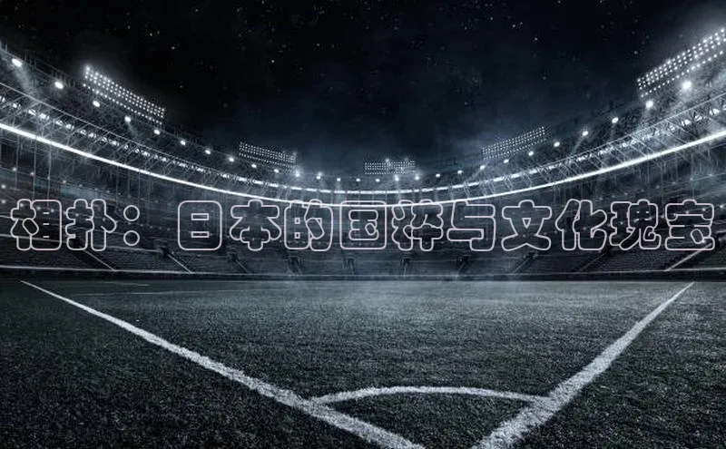 相扑：日本的国粹与文化瑰宝