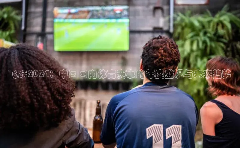 飞跃2024：中国国内体育赛事的年度盛况与未来趋势