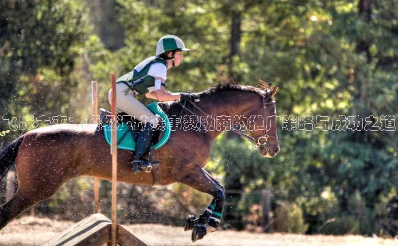 飞跃未来：顶级运动赛事赞助商的推广策略与成功之道