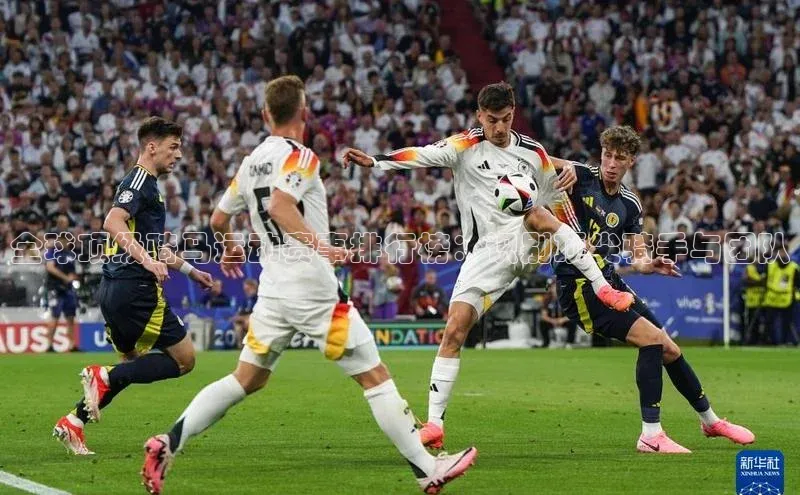 全球顶级骑马运动赛事排行榜：识别顶尖骑手与团队