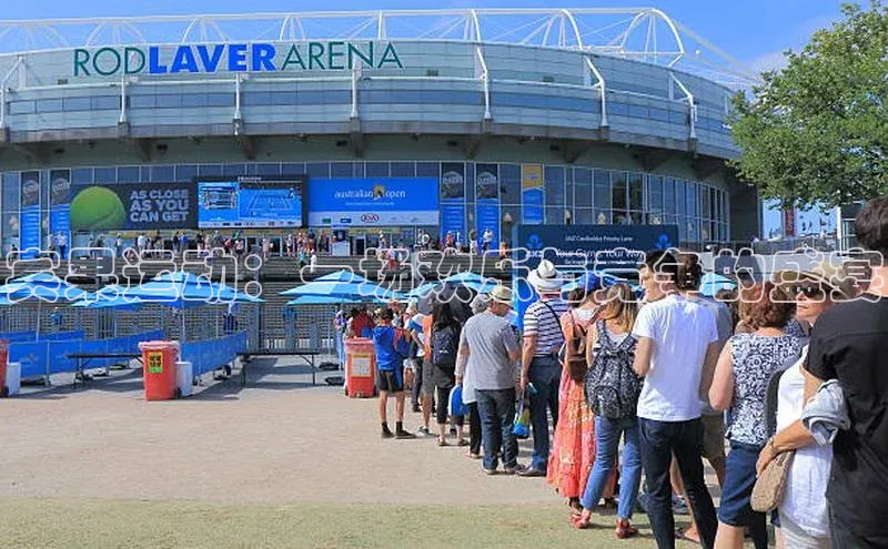 宾果运动：一场欢乐与竞争的盛宴