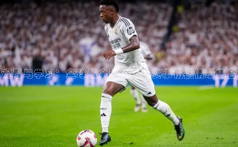 观看与学习：全球最全面的运动赛事伤病情录集合