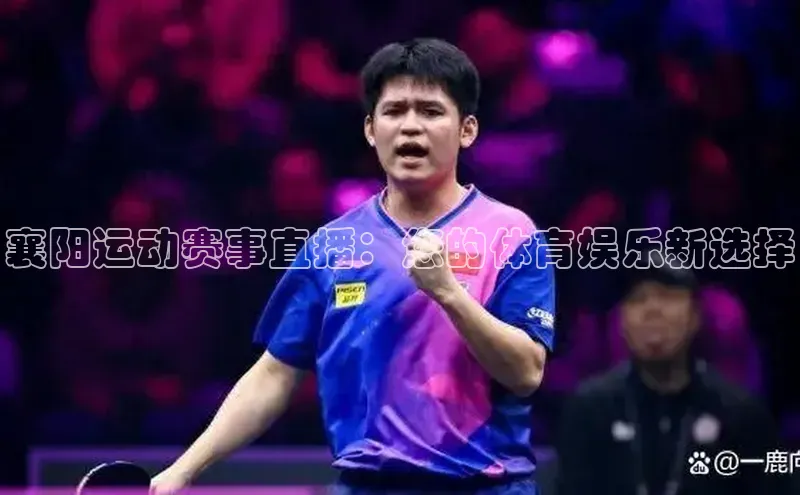 襄阳运动赛事直播：您的体育娱乐新选择