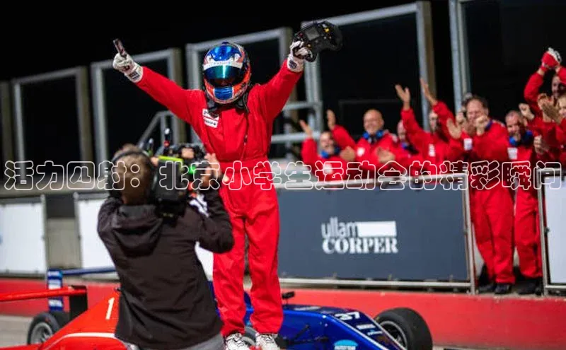 V·体育官方网站