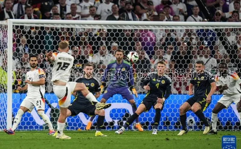 激情碰撞：2023年度体育赛事与运动会亮点