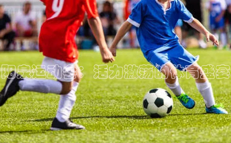 阳泉运动会：活力激荡的体育盛宴