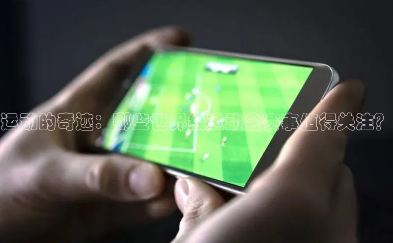 vsport体育在线比赛直播入口