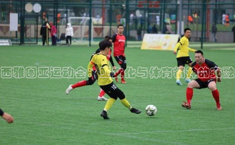 VSport胜利因您更精彩