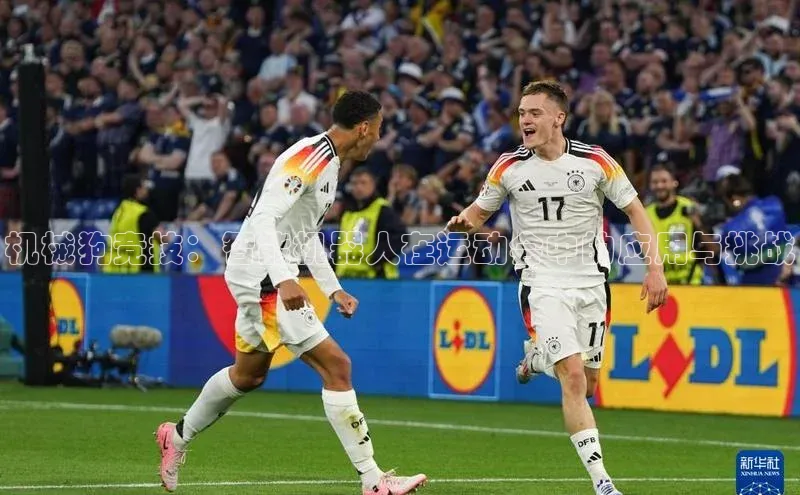 V体育网页版入口