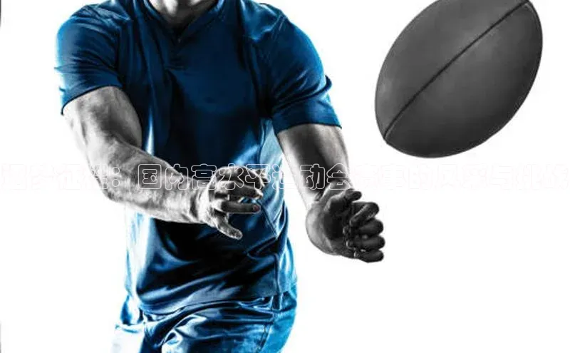 逐梦征程：国内高水平运动会赛事的风采与挑战