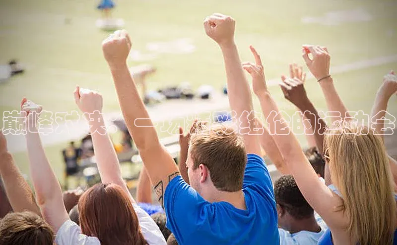 巅峰对决：一场精彩绝伦的运动会